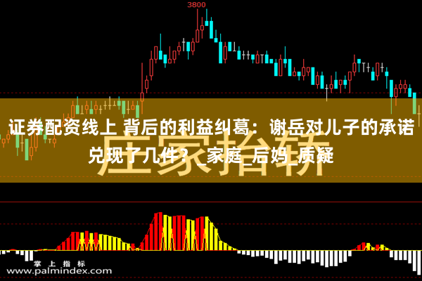 证券配资线上 背后的利益纠葛：谢岳对儿子的承诺兑现了几件？_家庭_后妈_质疑