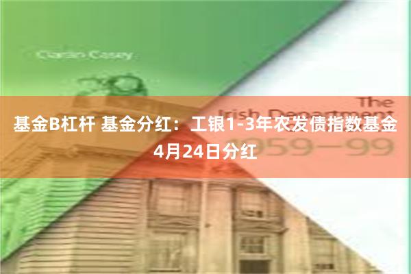 基金B杠杆 基金分红：工银1-3年农发债指数基金4月24日分红