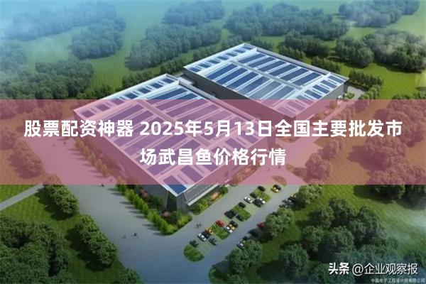 股票配资神器 2025年5月13日全国主要批发市场武昌鱼价格行情