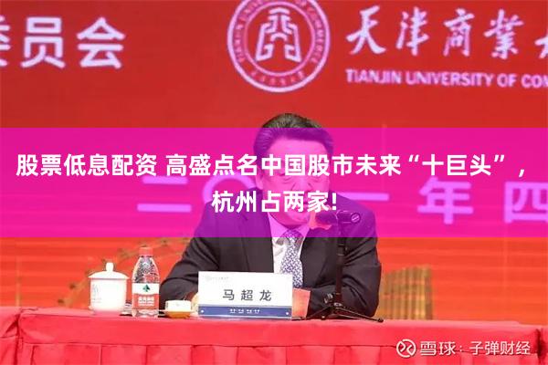 股票低息配资 高盛点名中国股市未来“十巨头” , 杭州占两家!