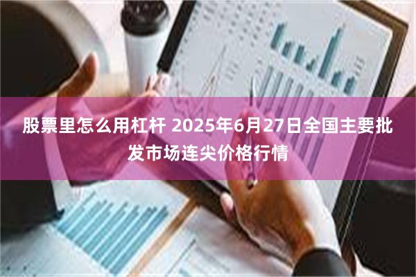 股票里怎么用杠杆 2025年6月27日全国主要批发市场连尖价格行情