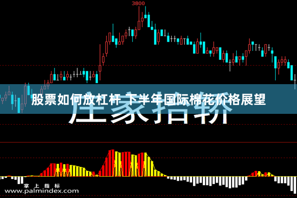 股票如何放杠杆 下半年国际棉花价格展望