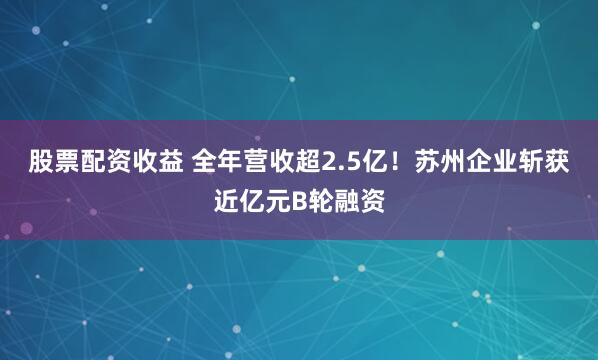 股票配资收益 全年营收超2.5亿！苏州企业斩获近亿元B轮融资