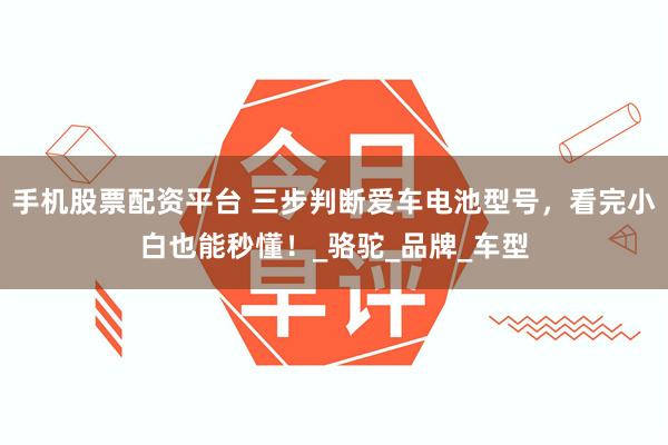 手机股票配资平台 三步判断爱车电池型号，看完小白也能秒懂！_骆驼_品牌_车型