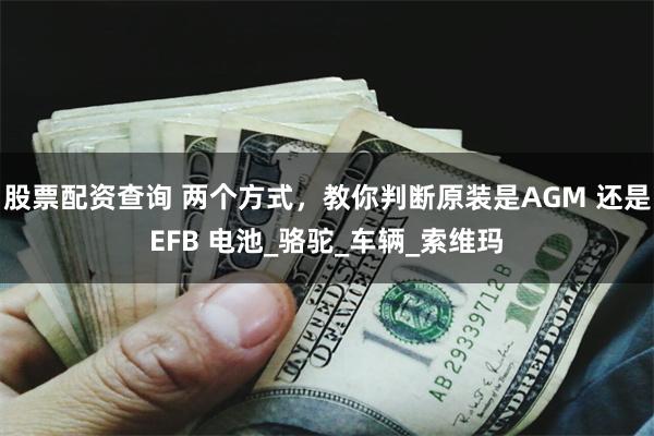 股票配资查询 两个方式，教你判断原装是AGM 还是EFB 电池_骆驼_车辆_索维玛
