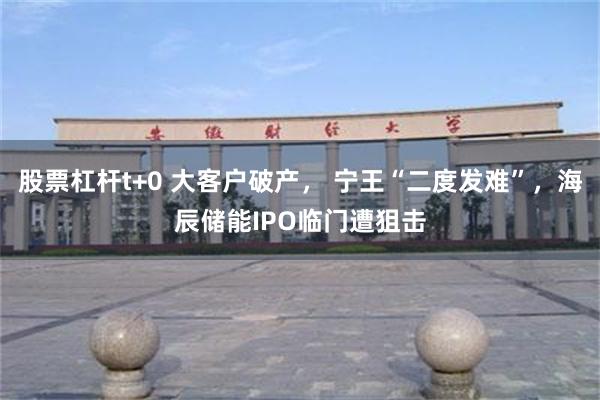 股票杠杆t+0 大客户破产， 宁王“二度发难”，海辰储能IPO临门遭狙击