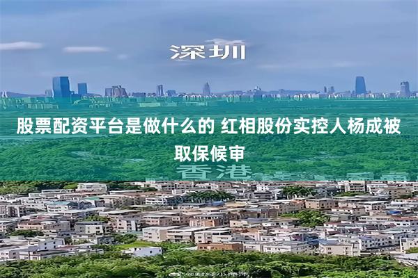 股票配资平台是做什么的 红相股份实控人杨成被取保候审