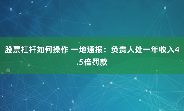 股票杠杆如何操作 一地通报：负责人处一年收入4.5倍罚款