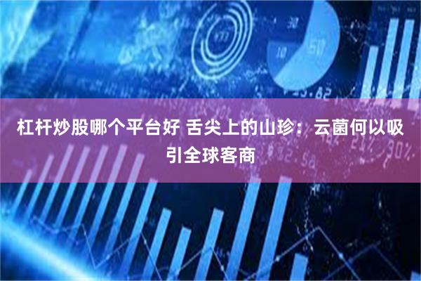 杠杆炒股哪个平台好 舌尖上的山珍：云菌何以吸引全球客商