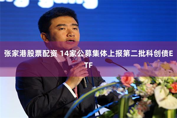 张家港股票配资 14家公募集体上报第二批科创债ETF