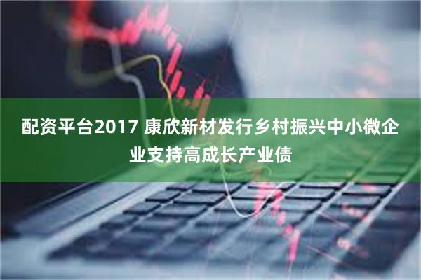 配资平台2017 康欣新材发行乡村振兴中小微企业支持高成长产业债