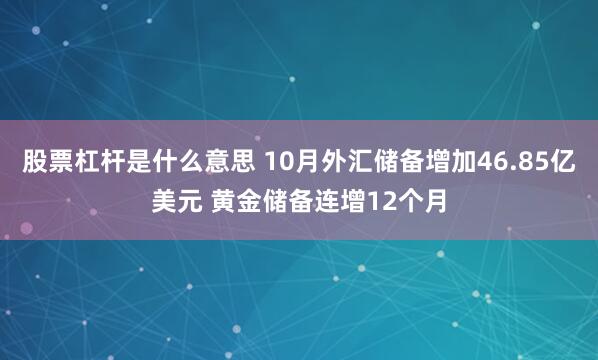 股票杠杆是什么意思 10月外汇储备增加46.85亿美元 黄金储备连增12个月