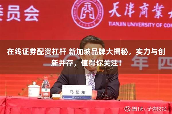 在线证劵配资杠杆 新加坡品牌大揭秘,实力与创新并存,值得你关注!