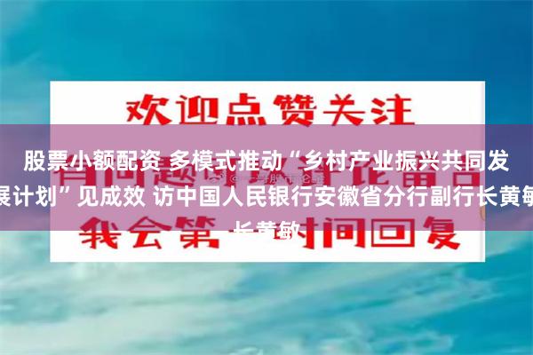股票小额配资 多模式推动“乡村产业振兴共同发展计划”见成效 访中国人民银行安徽省分行副行长黄敏