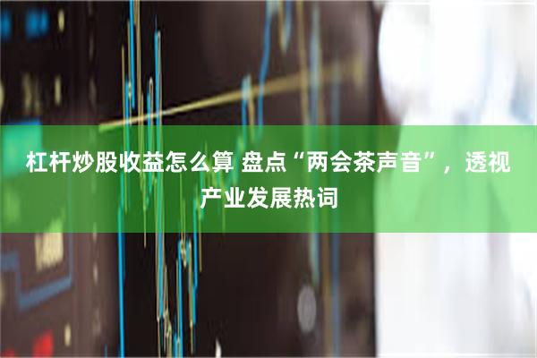 杠杆炒股收益怎么算 盘点“两会茶声音”，透视产业发展热词