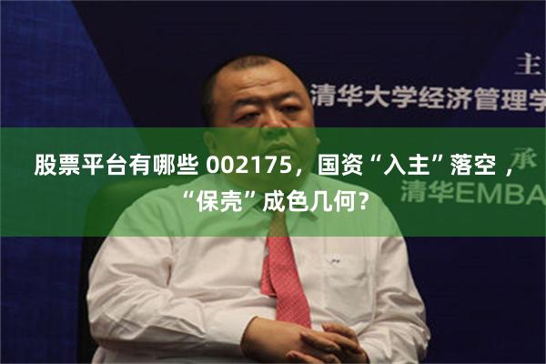 股票平台有哪些 002175,国资“入主”落空 ,“保壳”成色几何?