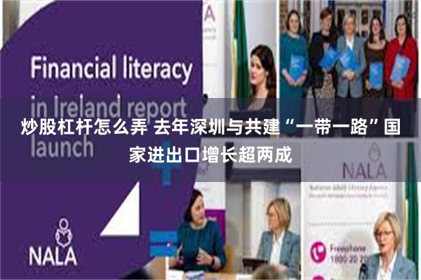炒股杠杆怎么弄 去年深圳与共建“一带一路”国家进出口增长超两成