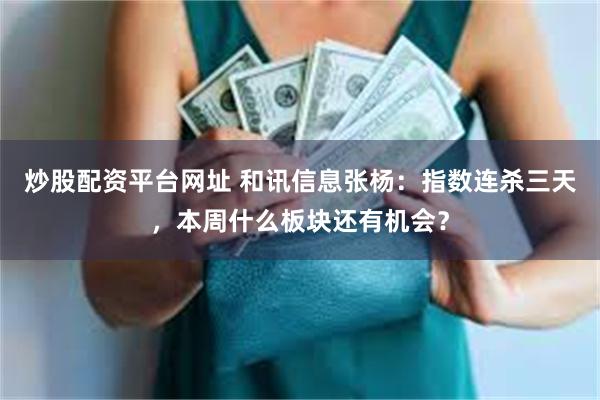 炒股配资平台网址 和讯信息张杨：指数连杀三天，本周什么板块还有机会？