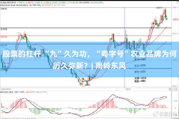 股票的杠杆 “九”久为功,“粤字号”农业品牌为何历久弥新?| 南岭东风