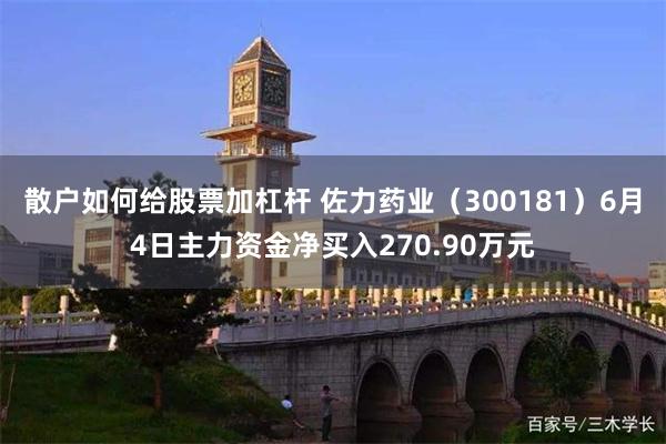 散户如何给股票加杠杆 佐力药业（300181）6月4日主力资金净买入270.90万元