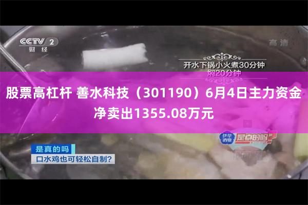 股票高杠杆 善水科技（301190）6月4日主力资金净卖出1355.08万元