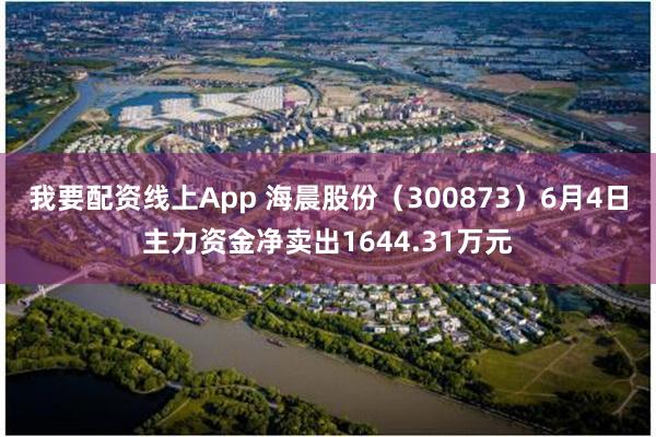 我要配资线上App 海晨股份（300873）6月4日主力资金净卖出1644.31万元