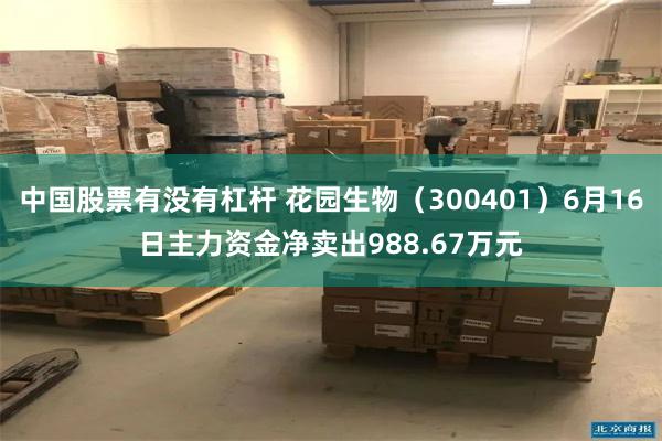 中国股票有没有杠杆 花园生物（300401）6月16日主力资金净卖出988.67万元