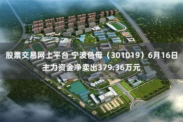 股票交易网上平台 宁波色母(301019)6月16日主力资金净卖出379.36万元