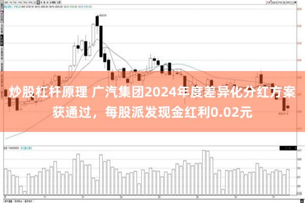 炒股杠杆原理 广汽集团2024年度差异化分红方案获通过，每股派发现金红利0.02元