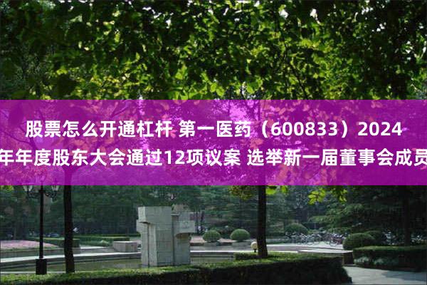 股票怎么开通杠杆 第一医药（600833）2024年年度股东大会通过12项议案 选举新一届董事会成员