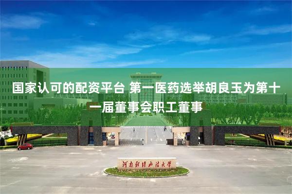 国家认可的配资平台 第一医药选举胡良玉为第十一届董事会职工董事