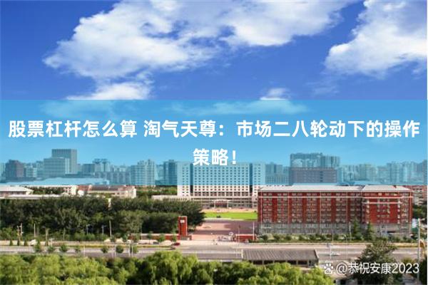 股票杠杆怎么算 淘气天尊：市场二八轮动下的操作策略！