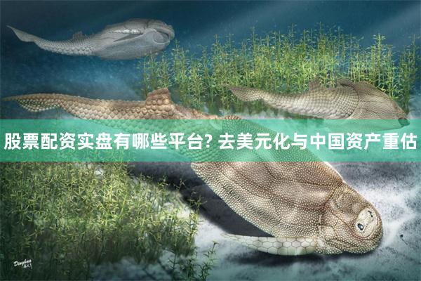 股票配资实盘有哪些平台? 去美元化与中国资产重估