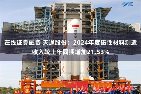 在线证劵融资 天通股份：2024年度磁性材料制造收入较上年同期增加21.53%
