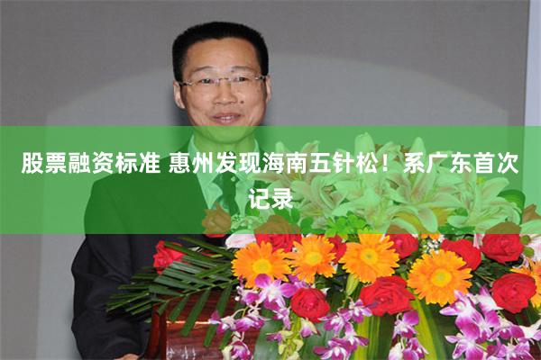 股票融资标准 惠州发现海南五针松！系广东首次记录