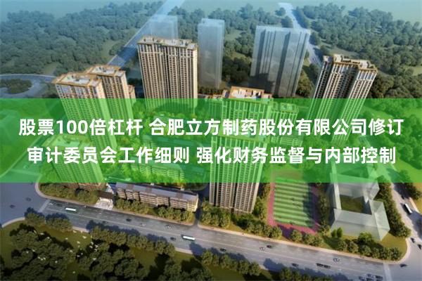 股票100倍杠杆 合肥立方制药股份有限公司修订审计委员会工作细则 强化财务监督与内部控制