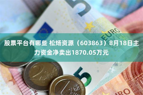 股票平台有哪些 松炀资源（603863）8月18日主力资金净卖出1870.05万元