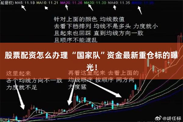 股票配资怎么办理 “国家队”资金最新重仓标的曝光！