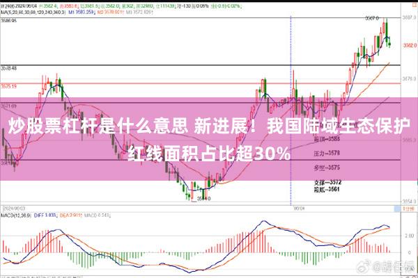 炒股票杠杆是什么意思 新进展!我国陆域生态保护红线面积占比超30%