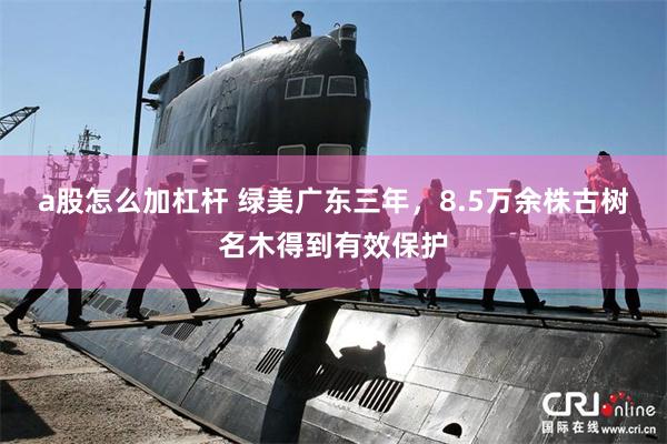 a股怎么加杠杆 绿美广东三年,8.5万余株古树名木得到有效保护