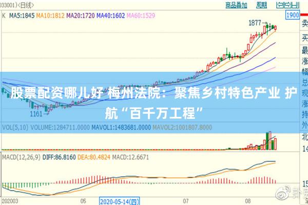股票配资哪儿好 梅州法院：聚焦乡村特色产业 护航“百千万工程”