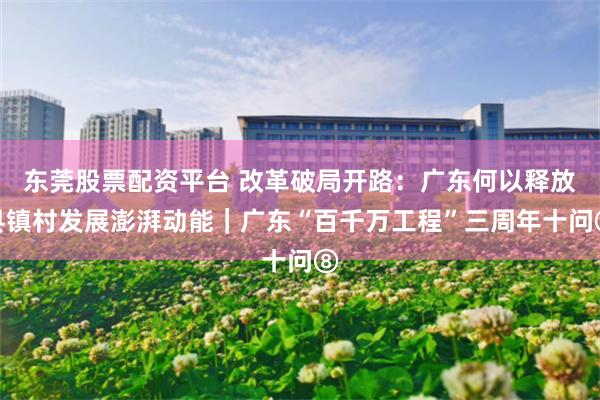 东莞股票配资平台 改革破局开路：广东何以释放县镇村发展澎湃动能｜广东“百千万工程”三周年十问⑧