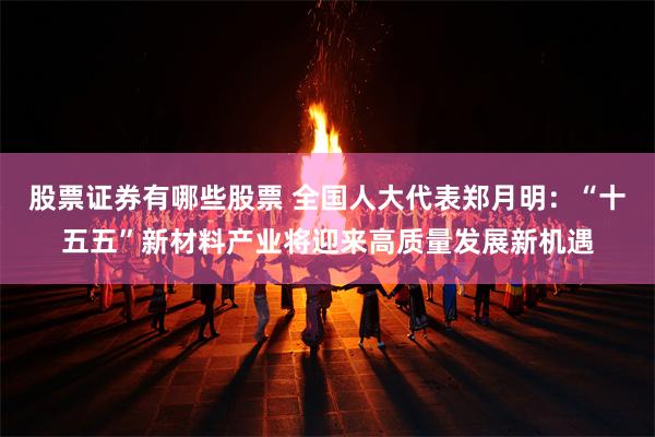 股票证券有哪些股票 全国人大代表郑月明：“十五五”新材料产业将迎来高质量发展新机遇