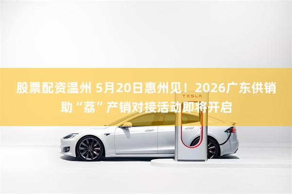 股票配资温州 5月20日惠州见！2026广东供销助“荔”产销对接活动即将开启