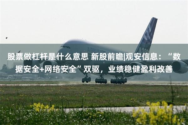 股票做杠杆是什么意思 新股前瞻|观安信息：“数据安全+网络安全”双驱，业绩稳健盈利改善