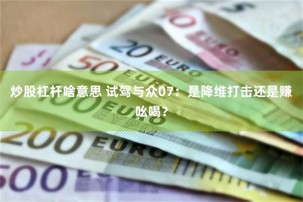 炒股杠杆啥意思 试驾与众07:是降维打击还是赚吆喝?