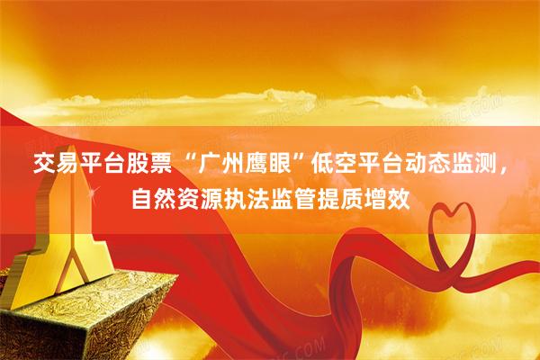 交易平台股票 “广州鹰眼”低空平台动态监测，自然资源执法监管提质增效