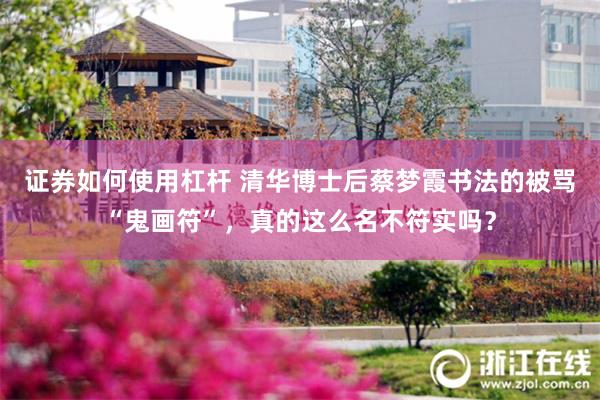 证券如何使用杠杆 清华博士后蔡梦霞书法的被骂“鬼画符”，真的这么名不符实吗？