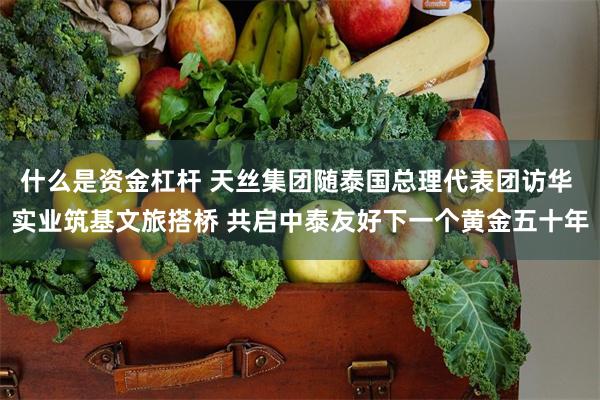 什么是资金杠杆 天丝集团随泰国总理代表团访华 实业筑基文旅搭桥 共启中泰友好下一个黄金五十年