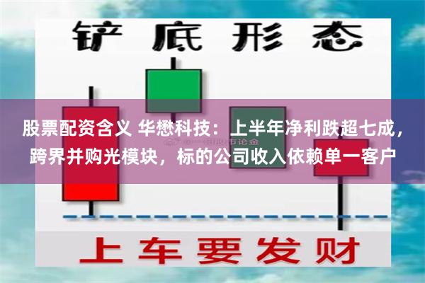 股票配资含义 华懋科技：上半年净利跌超七成，跨界并购光模块，标的公司收入依赖单一客户